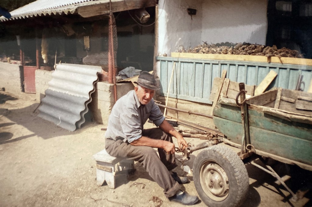 Cinache & Lipoveanca